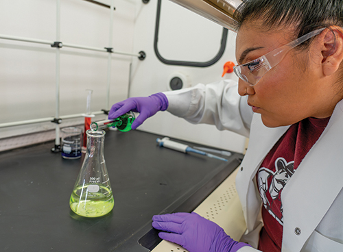 Chelsea Largo works in lab