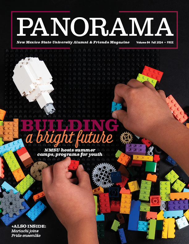Panorama fall 2024 cover image