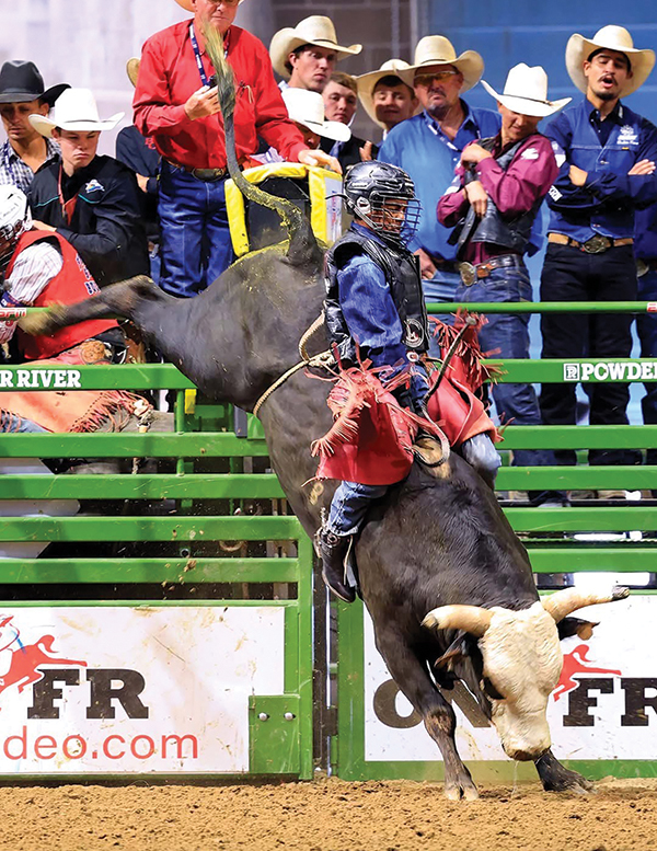 Brad Moreno hangs tight in the bull-riding chute, one of the events that led him to earn the All-Around Cowboy title at the 2025 College National Finals Rodeo.