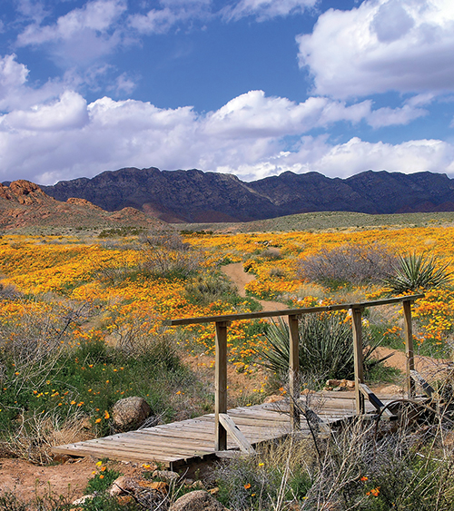 Àngel Peña, top left, and his team at Nuestra Tierra have played an instrumental role in land preservation statewide and beyond. He helped garner commu­nity support for the 2023 designation of the Castner Range National Monument in West Texas.
