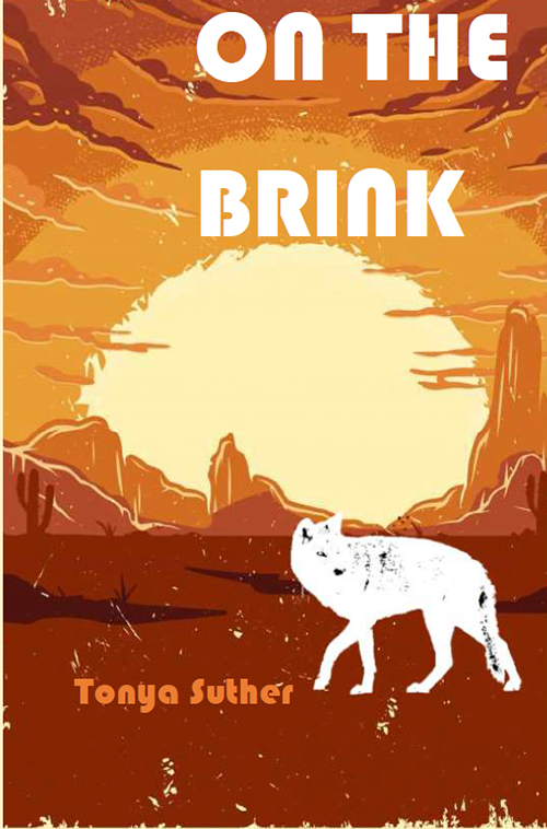 On the Brink Book Cover