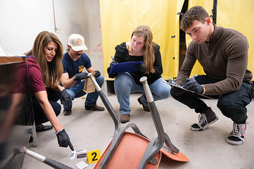 Ida D'Antonio-Hangen, far left, criminal justice college assistant professor, works with students in her mock crime scene lab in the basement of Breland Hall. D'Antonio-Hangen has worked with the team at NMSU Global Campus to create a virtual version of her criminal forensics course for online students.